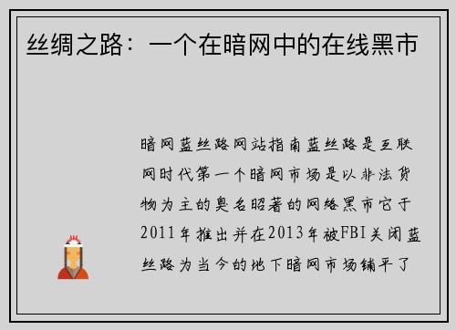 丝绸之路：一个在暗网中的在线黑市